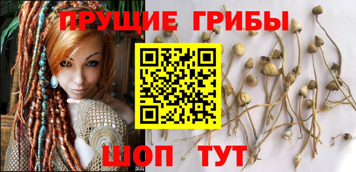 Псилоцибиновые грибы MAGIC MUSHROOMS Иваново